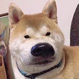 橘子0702的头像