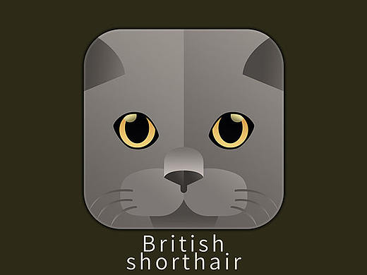 百日斩——（小卷）猫