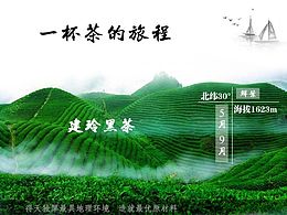 茶叶