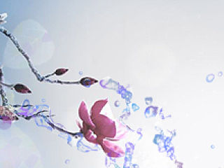 唯美（個(gè)人主頁-ZNDc0NzYzNg==） - 其他平面 - 站酷設(shè)計(jì)師MrsICON原創(chuàng)素材 - 站酷ZCOOL