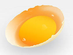 半颗蛋