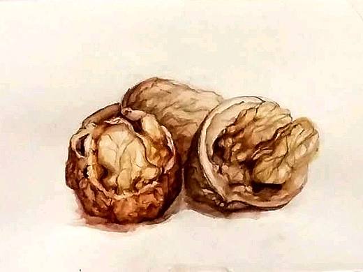 水彩（个人主页-ZMzMzNTkwODQ=） - 海报 - 站酷设计师Design_wang原创素材 - 站酷ZCOOL