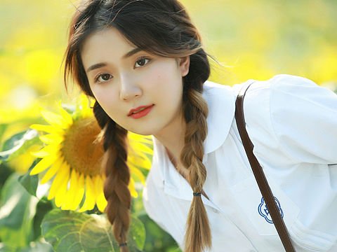 入目无他人，四下皆是你。🌻