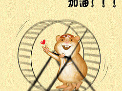 仓鼠嘻嘻o(∩_∩)o 