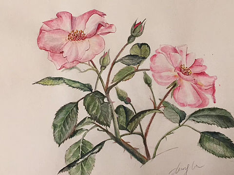 水彩手绘（个人主页-ZMzgwMDU5MzY=） - 绘画 - 站酷设计师wuli黑原创素材 - 站酷ZCOOL