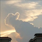 1步1的头像