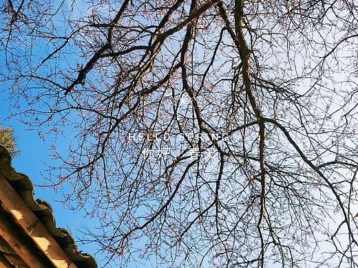 #手机摄影（个人主页-ZNDMwMjc3MzY=） - 风光摄影 - 站酷设计师年龄柒原创素材 - 站酷ZCOOL