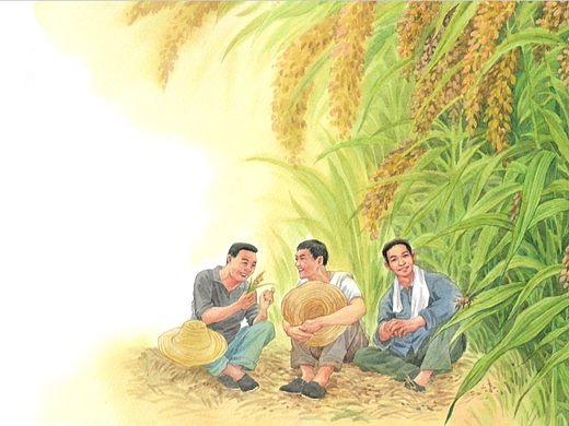 袁隆平 要做一颗好种子插图（已出版）