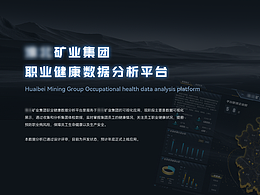 可视化