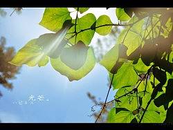 【原創(chuàng)】北京鬧兒·小雜片·未完待續(xù)...（個人主頁-ZMzcwMzY4） - 風(fēng)光攝影 - 站酷設(shè)計師Kylan原創(chuàng)素材 - 站酷ZCOOL