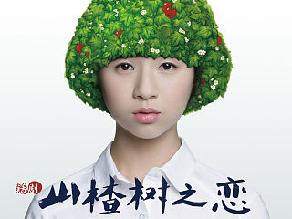 话剧《山楂树之恋》项目／海报设计