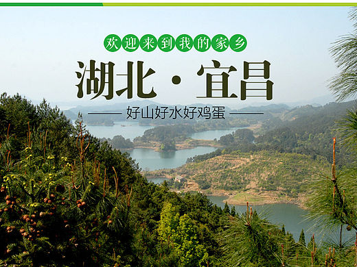 鸡蛋详情页