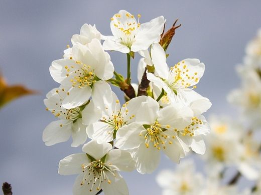 走过的路，去过的地，看过的风光