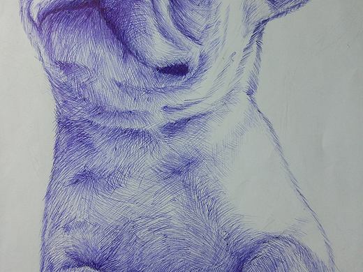 圓珠筆畫-法斗（個人主頁-ZMjcyMzM3MDg=） - 創(chuàng)作習(xí)作 - 站酷設(shè)計師思o(jì)r棄原創(chuàng)素材 - 站酷ZCOOL