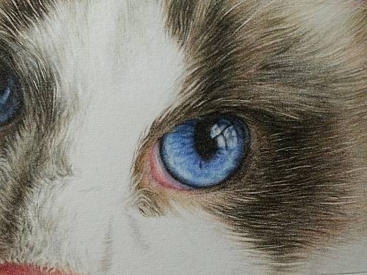 孤单是自我的贫乏，孤独是自我的丰富。（个人主页-ZMTgxOTAyODA=） - 绘画 - 站酷设计师林朵云原创素材 - 站酷ZCOOL