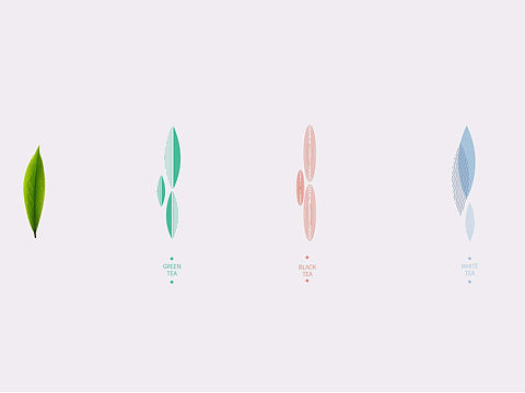 茶包装（方向稿）
