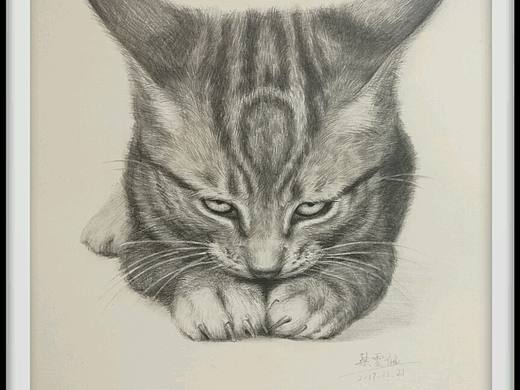 动物素描。猫