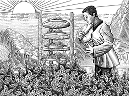 普洱茶饼