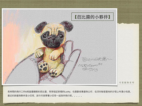 【可愛寵物系列】