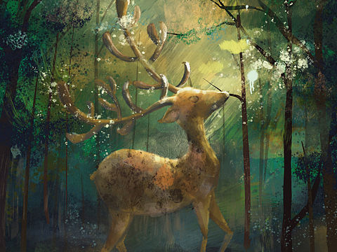 【系列插画】万物有灵（个人主页-ZNTEwNTc3NjA=） - 创作习作 - 站酷设计师F芋圆原创素材 - 站酷ZCOOL