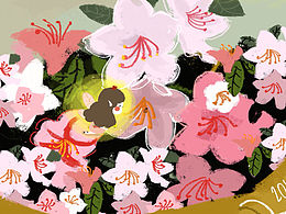 杜鹃花