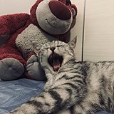 3hreeT的头像