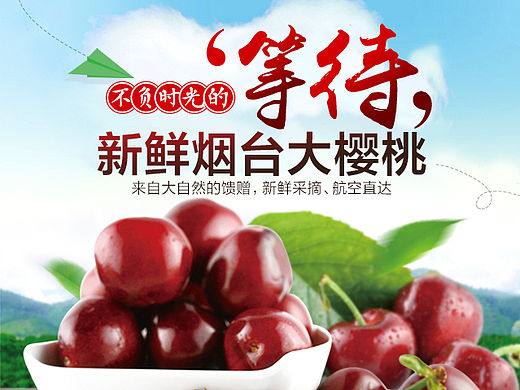 天猫淘宝京东生鲜水果/正宗烟台大樱桃车厘子