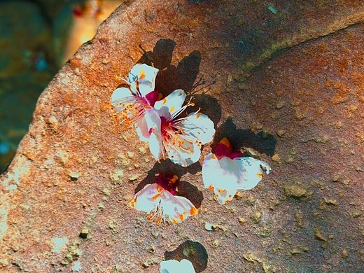 風(fēng)景留給我們（個人主頁-ZODAxNzA2OA==） - 風(fēng)光攝影 - 站酷設(shè)計師SEVENFRIDAY原創(chuàng)素材 - 站酷ZCOOL