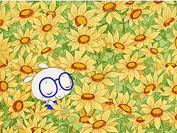 扑克兔绘本欣赏