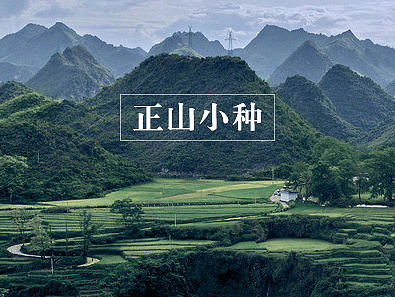 正韵级系列散茶设计