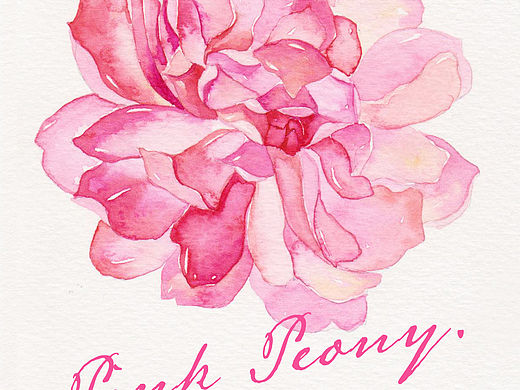 三木花草（小過(guò)程2）（個(gè)人主頁(yè)-ZMTU2ODUyMDQ=） - 商業(yè)插畫(huà) - 站酷設(shè)計(jì)師吳都Jasmine原創(chuàng)素材 - 站酷ZCOOL