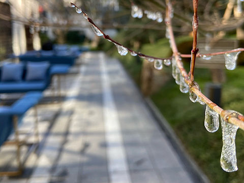 为你受冷风吹，寂寞时候流眼泪，别人问我是与非……（个人主页-ZNTAwNTg4MDg=） - 风光摄影 - 站酷设计师邹菠菜原创素材 - 站酷ZCOOL