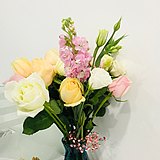 安雅114的头像
