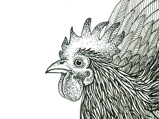 站斗鸡（个人主页-ZMjAzNjk2MDQ=） - 创作习作 - 站酷设计师葆光设计原创素材 - 站酷ZCOOL