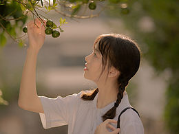 少女写真