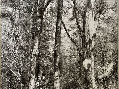 库克森林公园（个人主页-ZMzk2NjkyMzI=） - 绘画 - 站酷设计师nzlarry原创素材 - 站酷ZCOOL