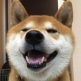 HJMage的头像
