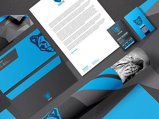 Techlynx branding and identity design
