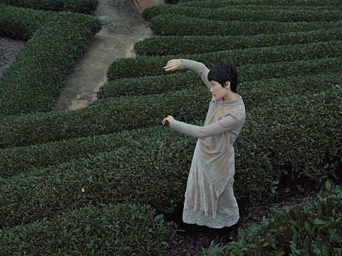 禅意