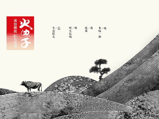 长明火边子牛肉 平面vi