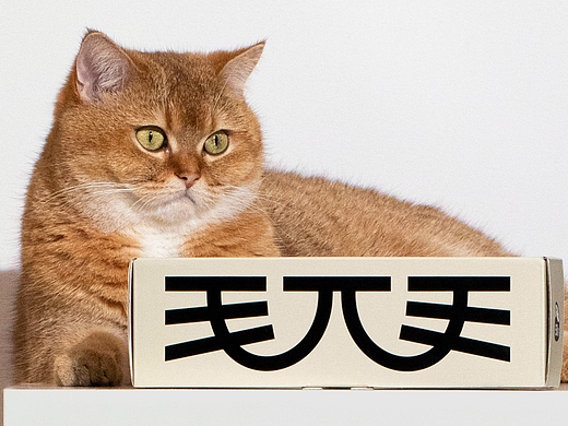 设计分享/毛兀MAOWOO®