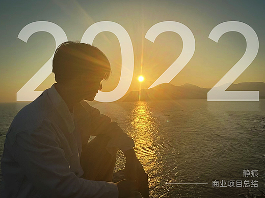 2022商业项目总结