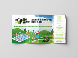 “泳”往直前“棋”開得勝  夏令營