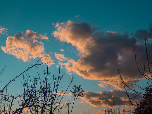 日落星野 人间值得