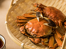 美食攝影｜盤錦河蟹