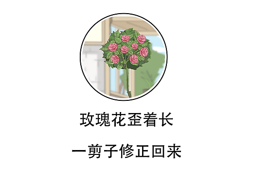 玫瑰花歪着长？一剪子修正过来