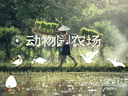 海报