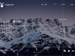 一屏式網(wǎng)站