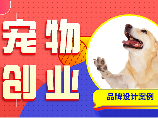 案例分享｜宠物品牌设计可以怎么玩
