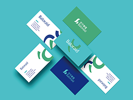 《Baloraid》品牌设计